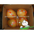 China fresh honey pomelo for sale